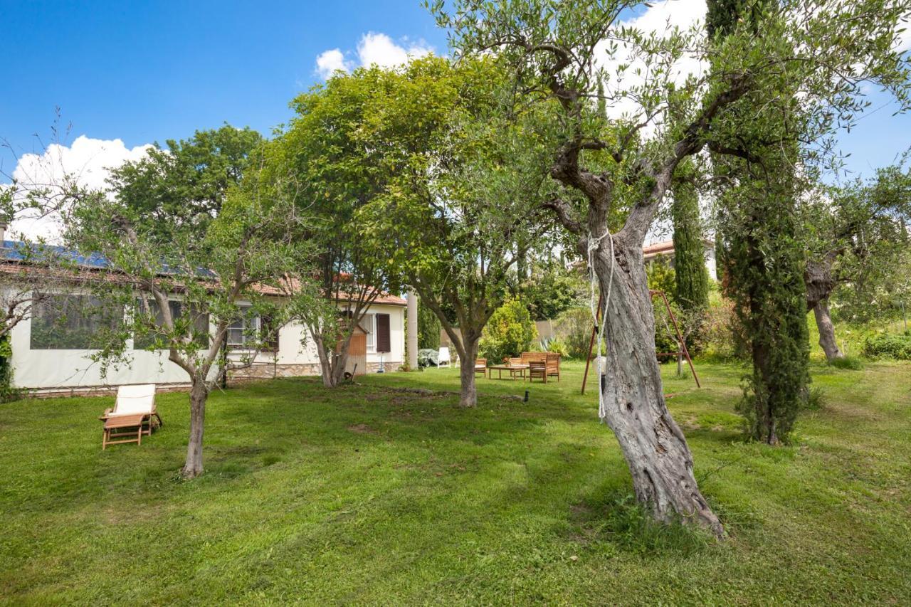 Artemisia Negli Ulivi B&B Magliano in Toscana Exterior photo