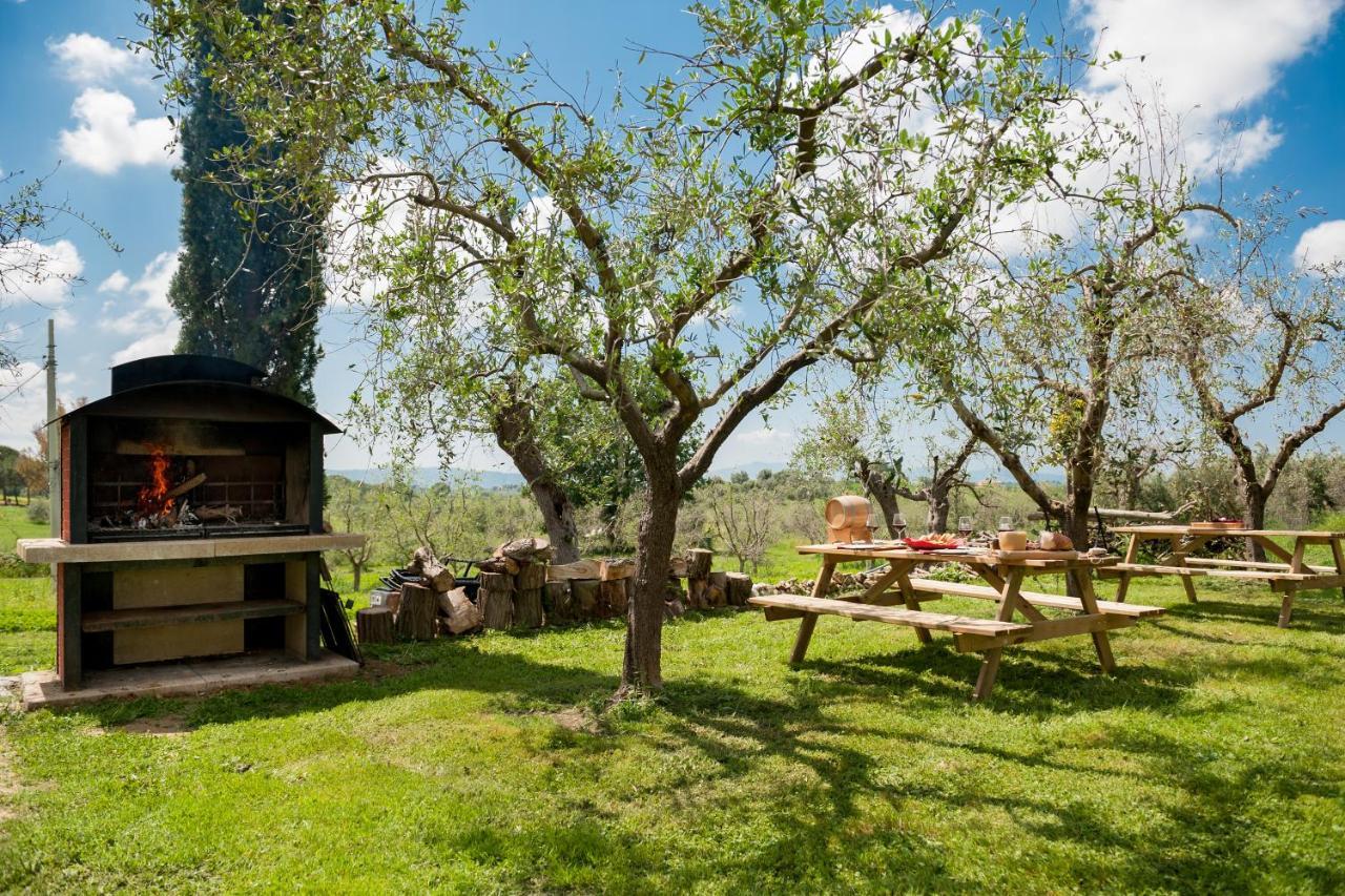 Artemisia Negli Ulivi B&B Magliano in Toscana Exterior photo