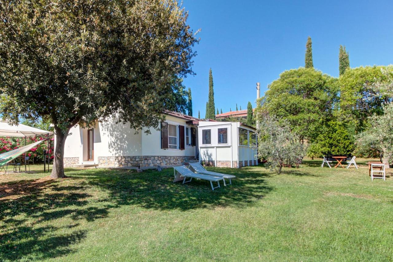 Artemisia Negli Ulivi B&B Magliano in Toscana Exterior photo
